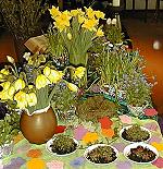 Blumen, Farben