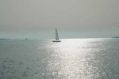 Segelboot
