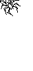 Spinne