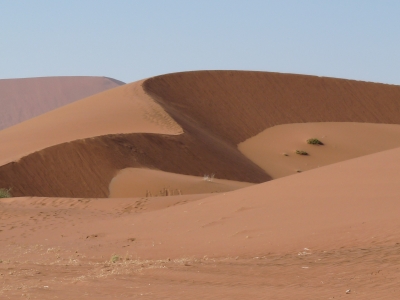 Sandd�nen in der W�ste